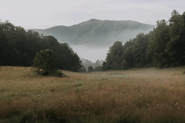 Tennessee morning mist and other wonders